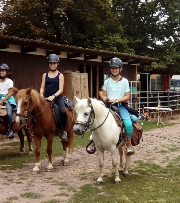 Talking_Horse_Farm_Schwegenheim_Kinderreitunterricht