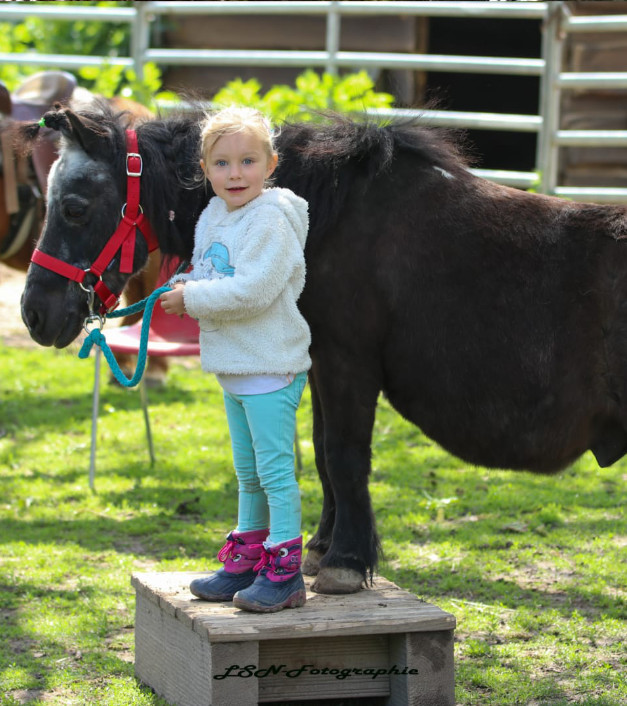 Talking_Horse_Farm_Schwegenheim_Reitunterricht