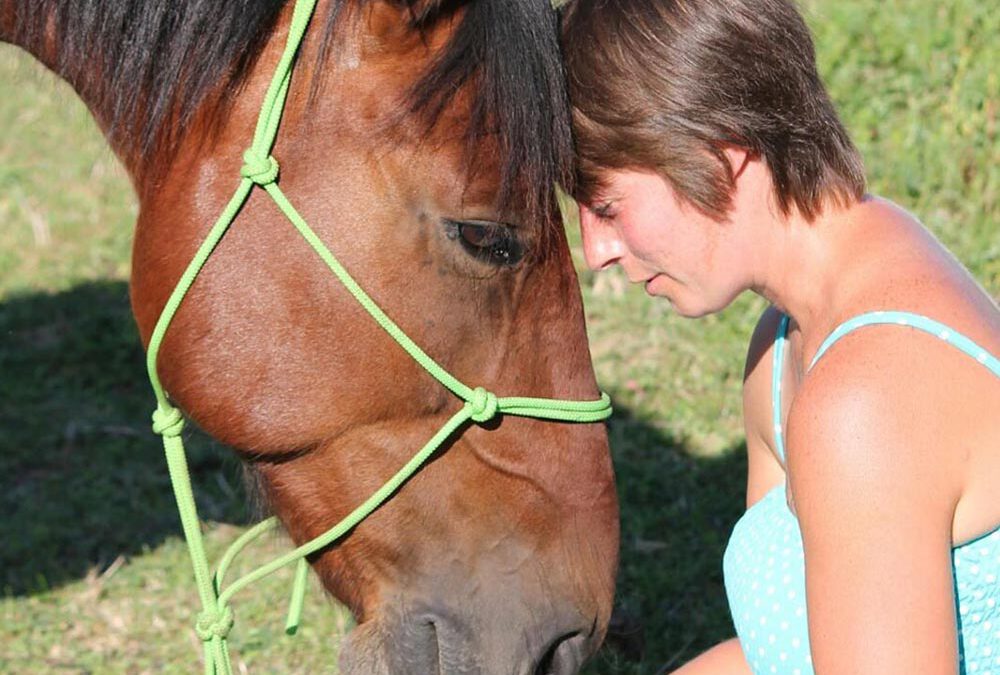 Horse-Talk 4 Seminar – Spiritualität – So lernst Du Pferde wirklich zu sehen und zu schätzen