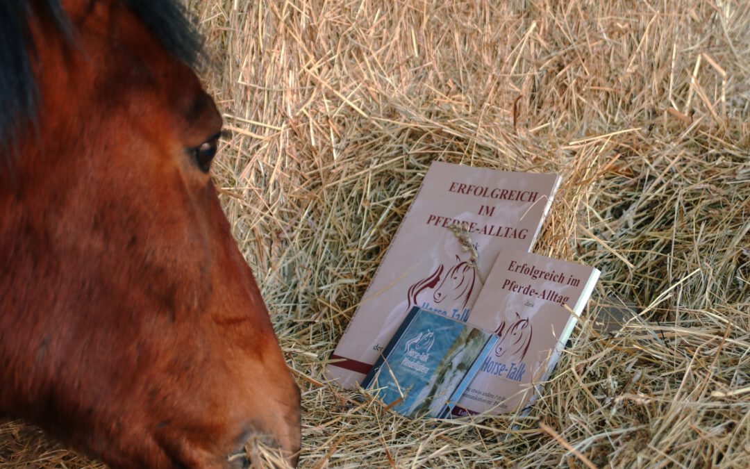 Horse-Talk Info-Abend